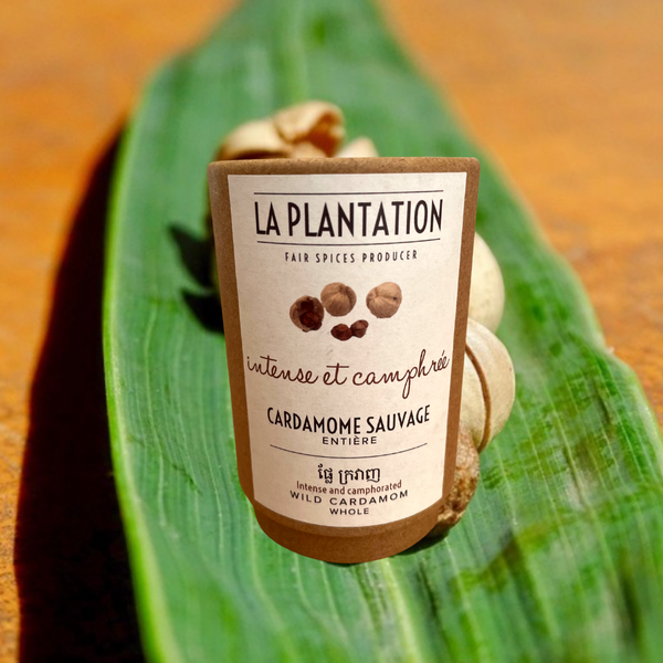 La Plantation | Wild Cardamom Whole | 50g