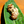 Load image into Gallery viewer, La Plantation | Wild Cardamom Whole | 50g
