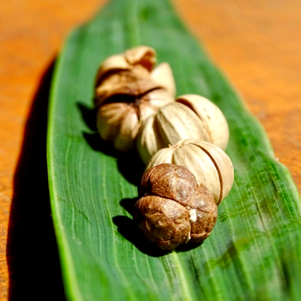 La Plantation | Wild Cardamom Whole | 50g